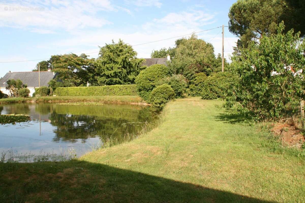 Vente Terrain Guegon(56120) 40 000ï¿œ - photo 5