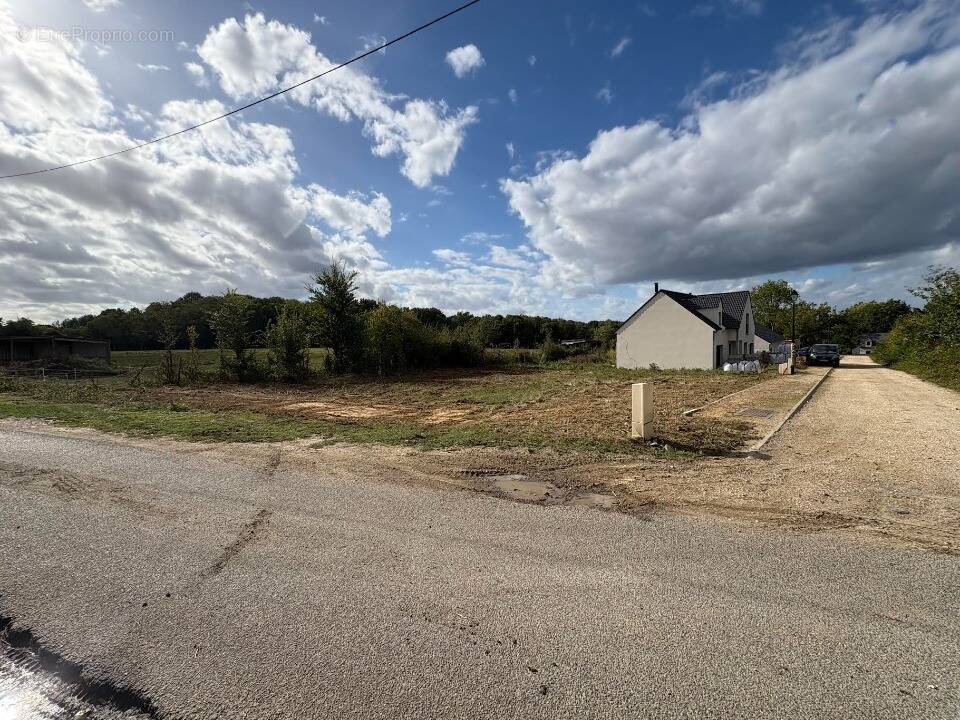 Terrain à SOIGNOLLES-EN-BRIE