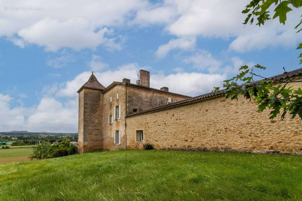 Chateau estate - photo 4
