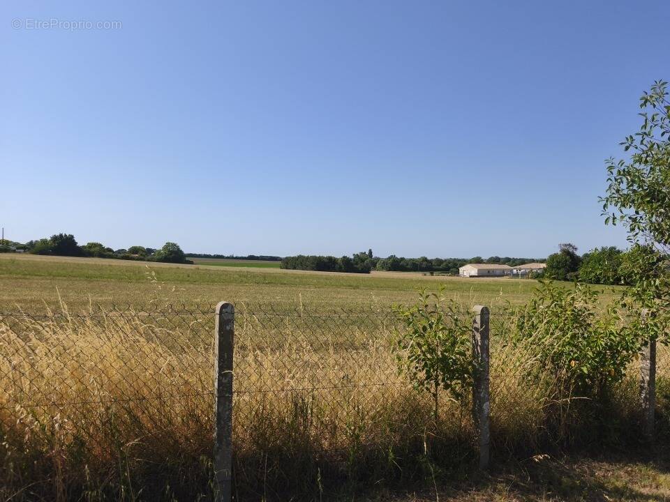 Terrain à ARVERT