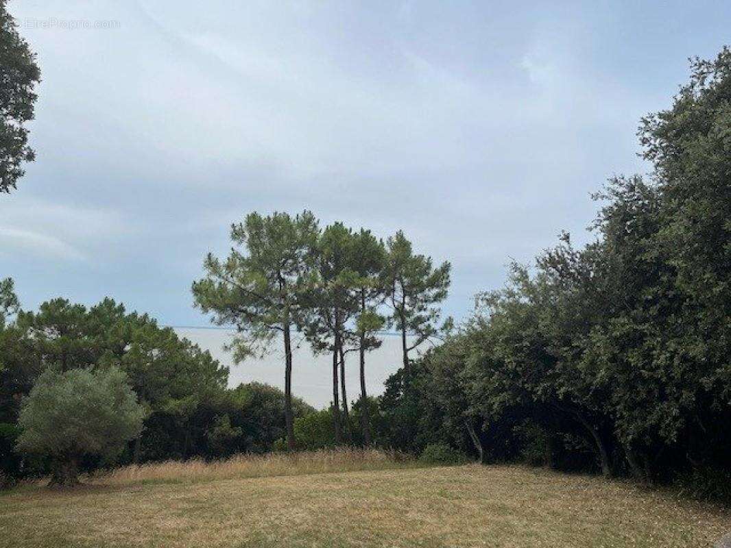 Maison à SAINT-GEORGES-DE-DIDONNE