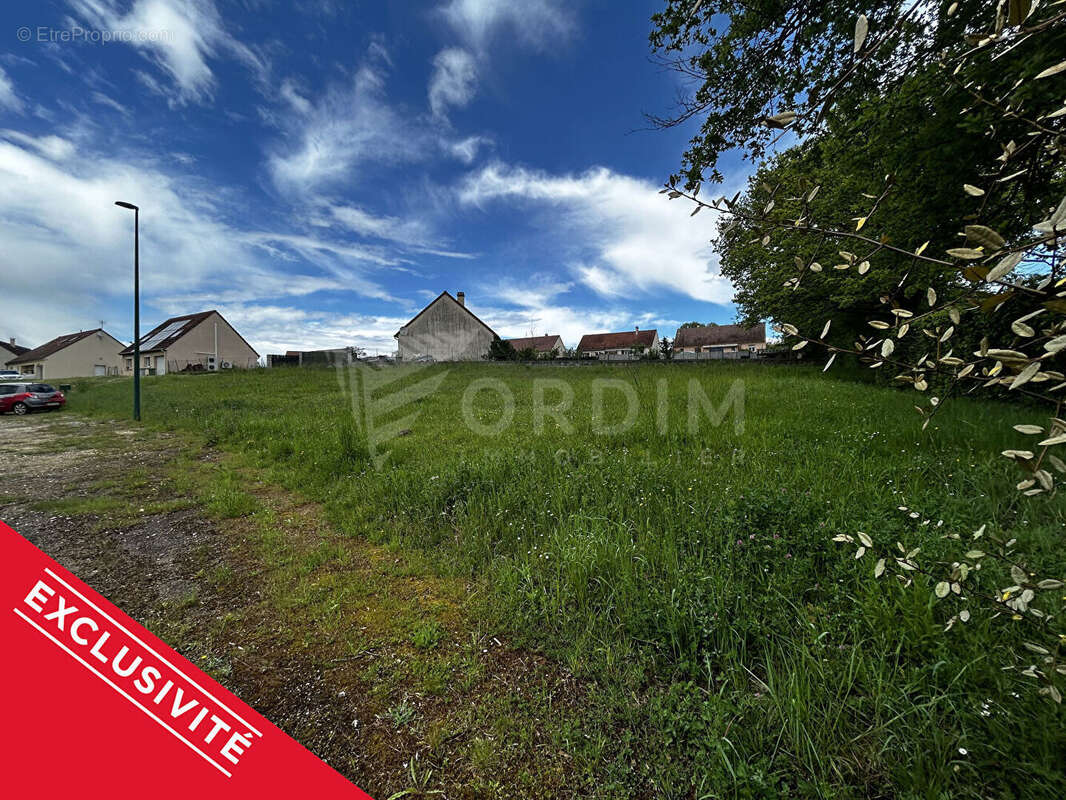 Terrain à MOULINS-SUR-OUANNE