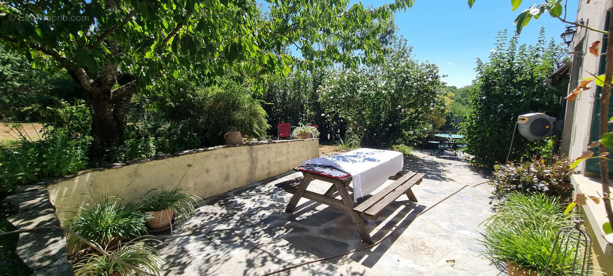 Nouveauté à la vente ! - photo 13