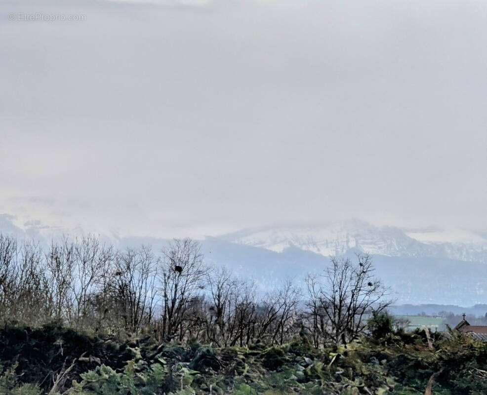 Terrain à ROCHETOIRIN