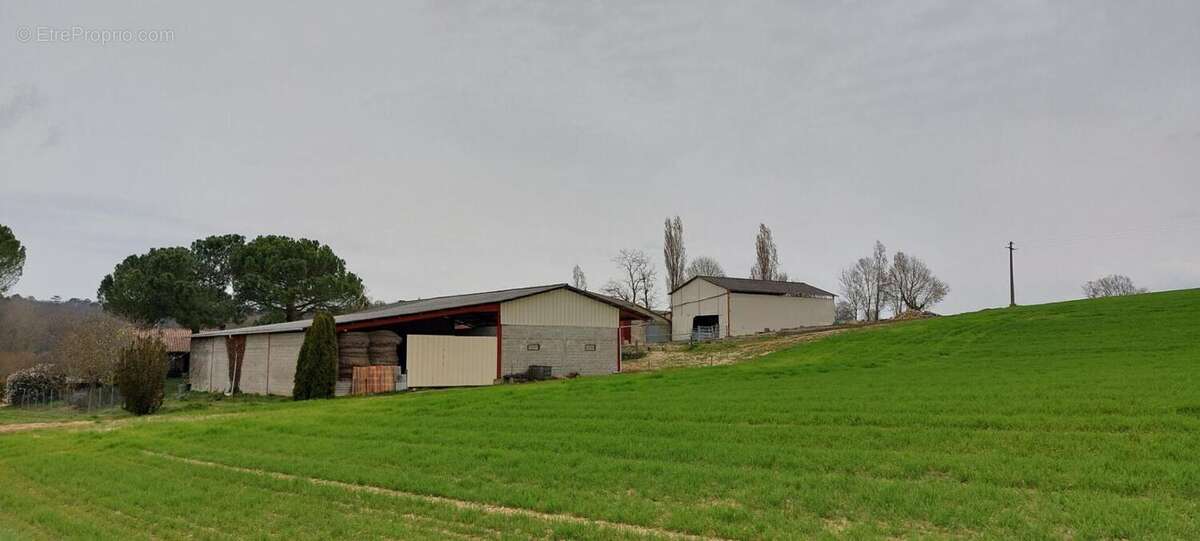 Corps de ferme en pierre 300m²  à  réhabiliter + hangars sur terrain de 6500 m² - photo 2