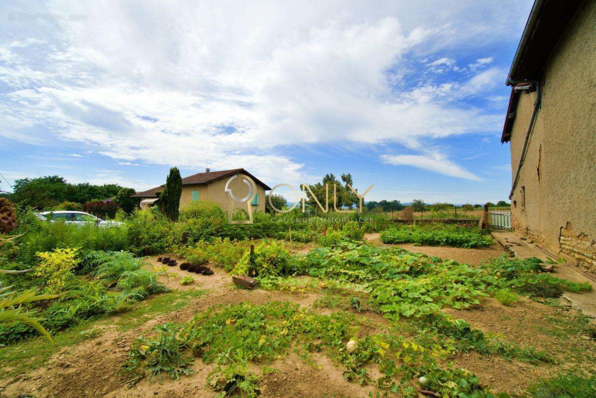 Terrain à MISERIEUX