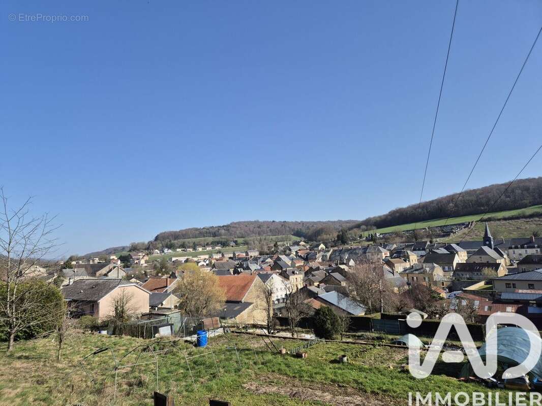 Photo 3 - Terrain à RAUCOURT-ET-FLABA