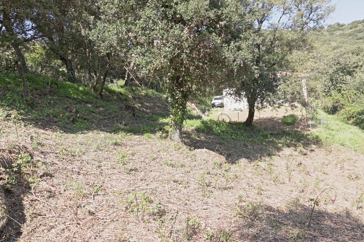 Terrain à CASAGLIONE