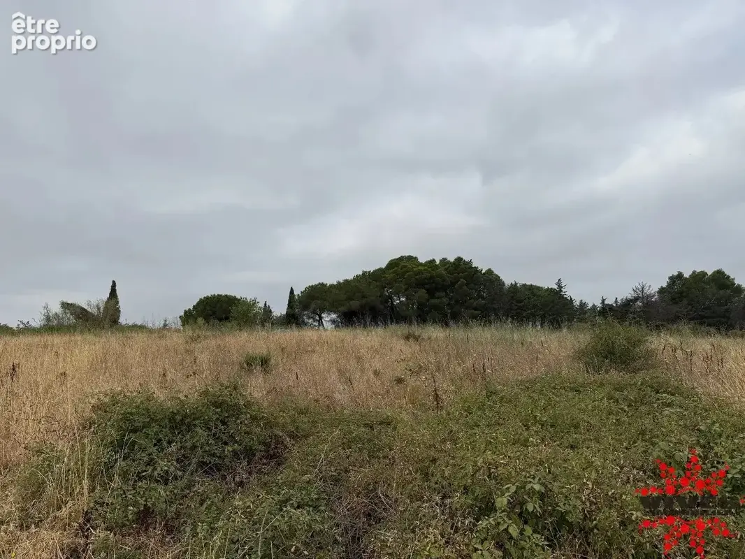 Terrain agricole ou de loisirs - photo 8