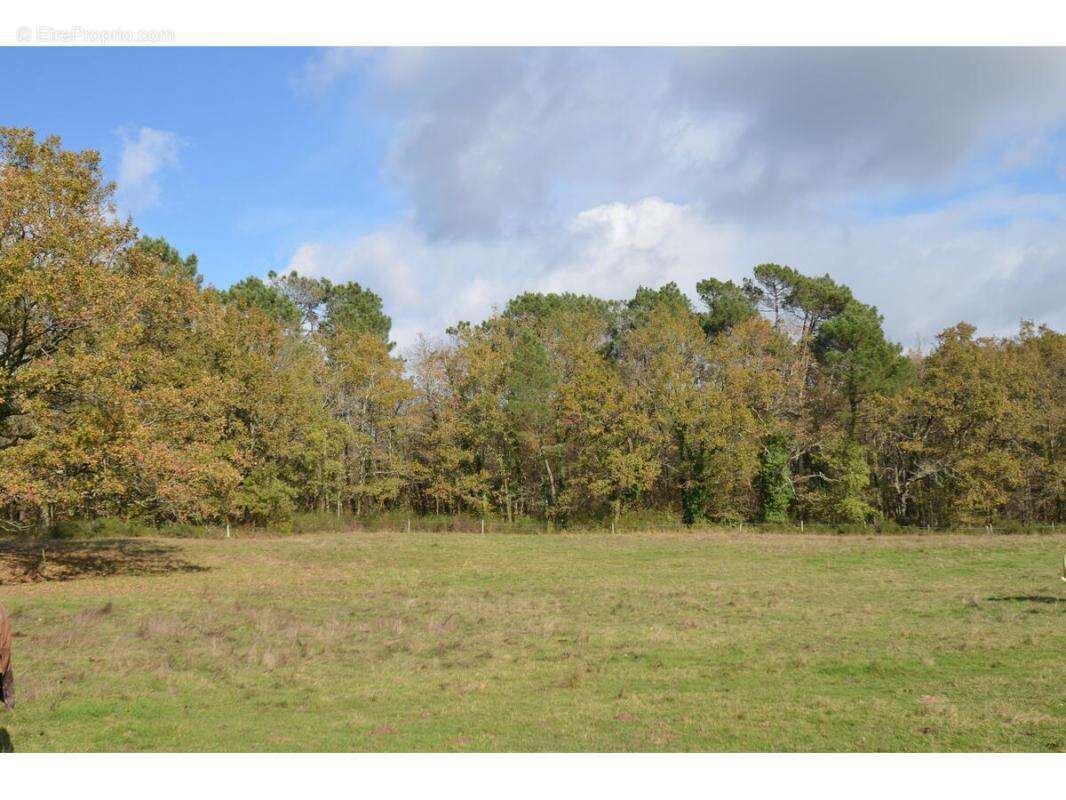 Terrain à PORCHERES