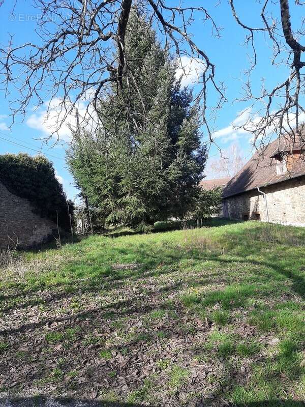Maison à vendre 11 pièces SAINT PRIEST LIGOURE (87) - photo 13