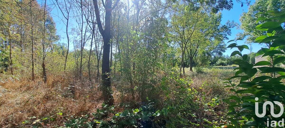 Photo 4 - Terrain à SAINT-CHRISTOL-LES-ALES