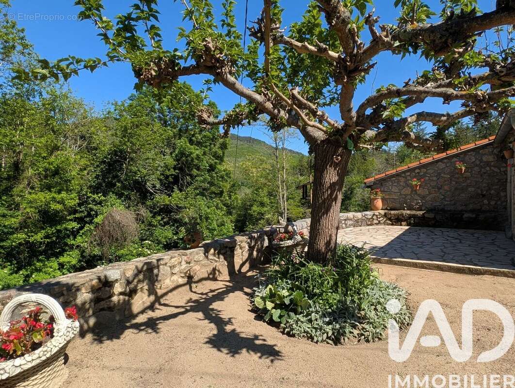 Photo 7 - Maison à SAINT-LAURENT-DE-CERDANS