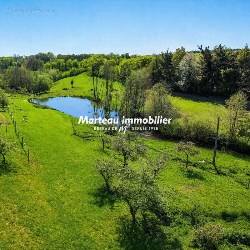 Gesnes Le Gandelin : Maison - photo 7
