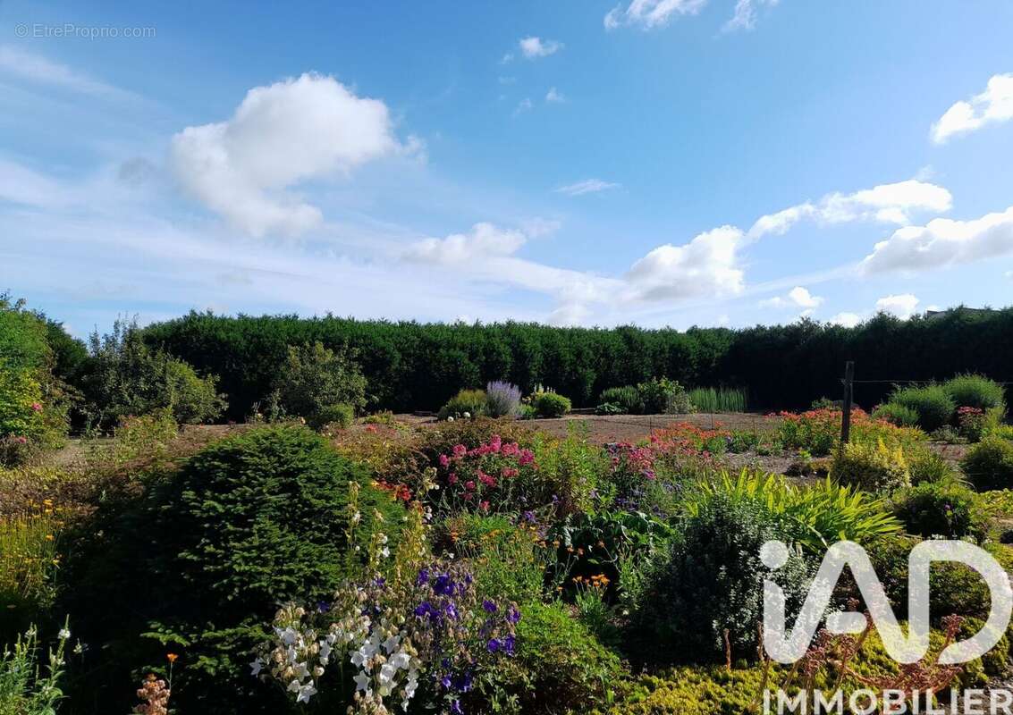 Photo 2 - Maison à CARBAY