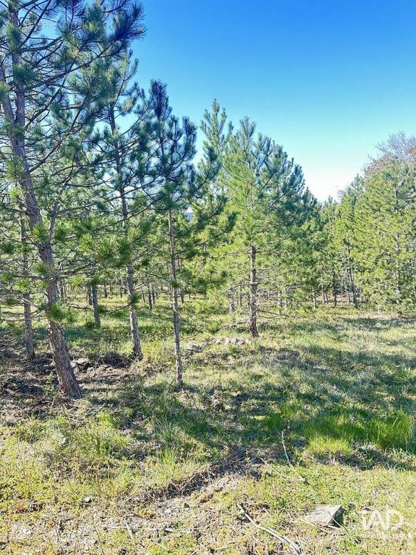 Photo 1 - Terrain à MOLLANS-SUR-OUVEZE