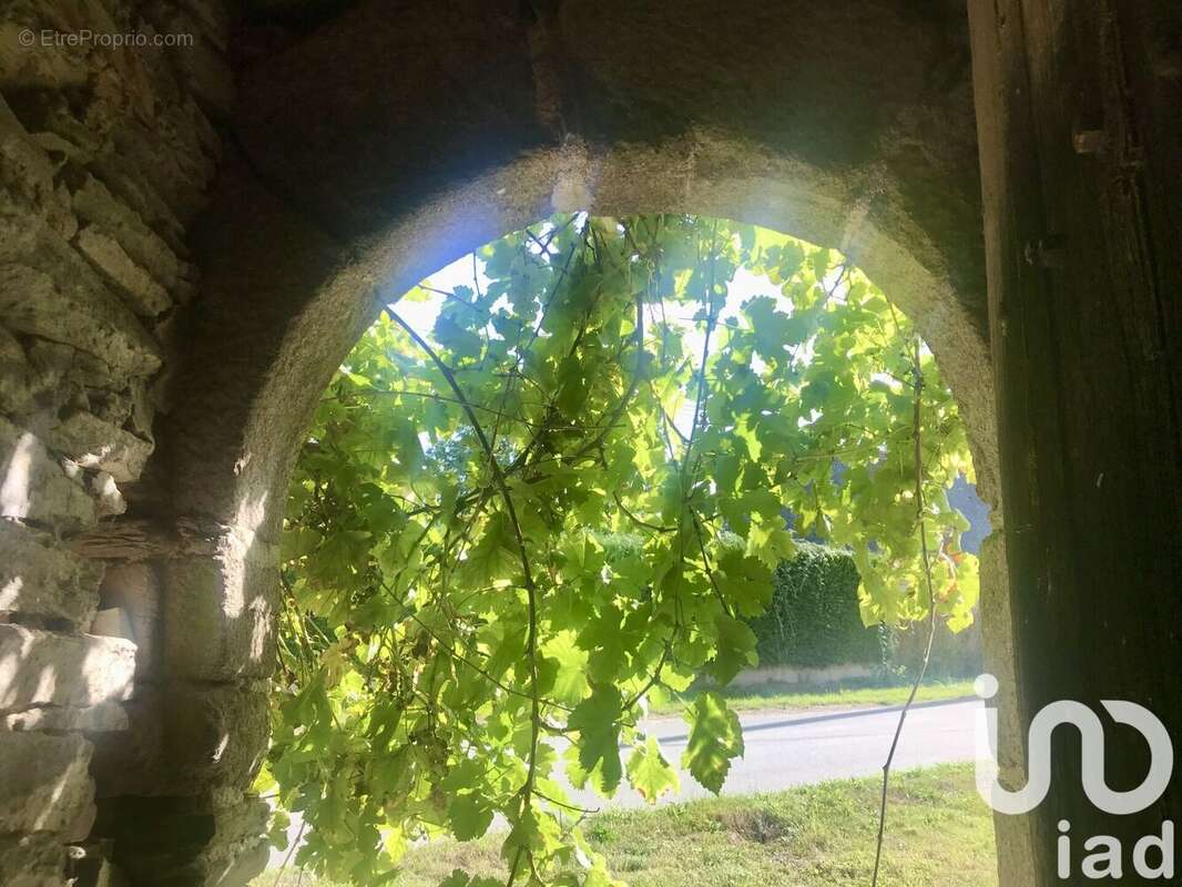 Photo 6 - Maison à THUBOEUF