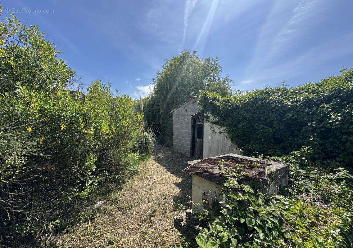 Terrain à LES PORTES-EN-RE