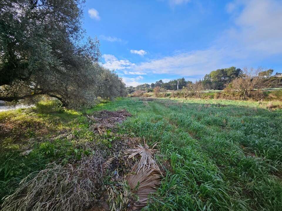 Terrain à ROQUEVAIRE
