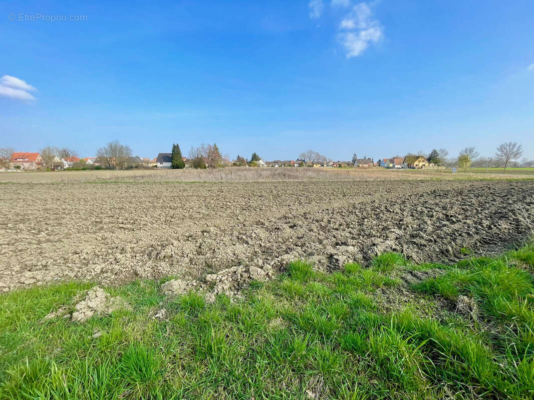 Terrain à bâtir 341m2, à proximité de Strasbourg (67000) emplacement idéal au coeur d'Eschau (67114) - photo 4