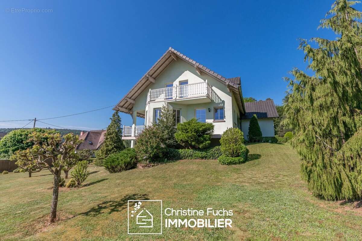 Maison à WIMMENAU