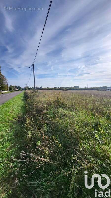 Photo 2 - Terrain à LA COUR-MARIGNY