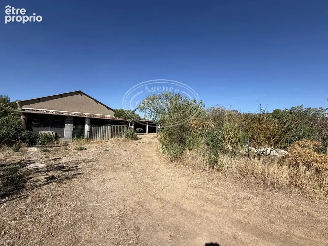 Lezignan-corbieres- maison plain-pied de 100 m² env./ terrains et hangar - photo 9