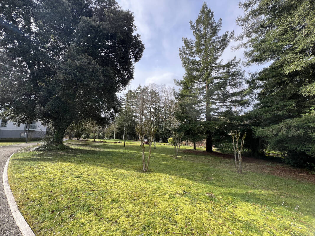 Appartement à TOURS