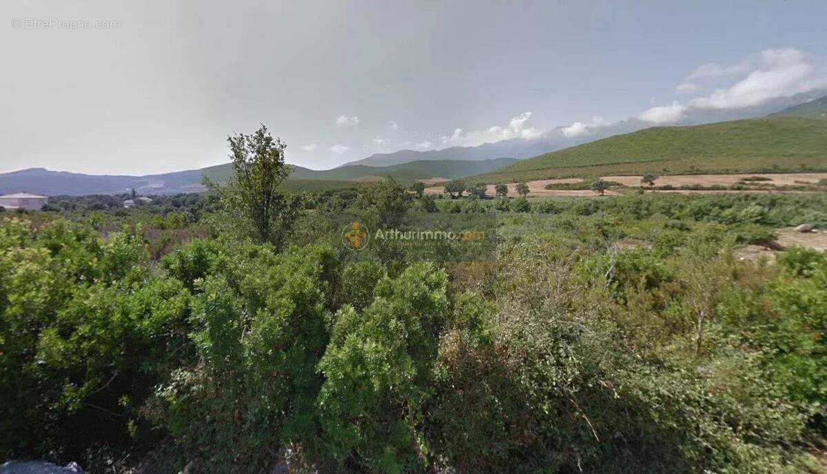 Terrain à PIETRACORBARA
