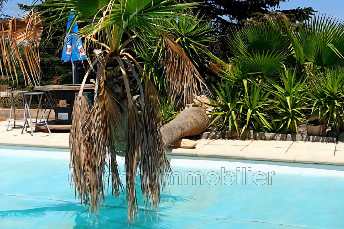 Maison à LAROQUE-DES-ALBERES