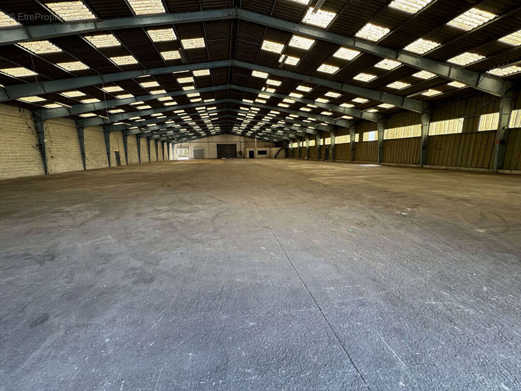 Commerce à TREILLIERES