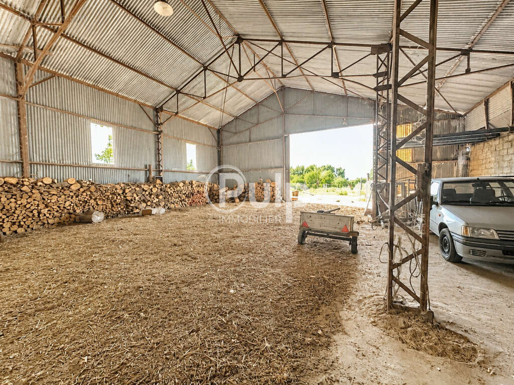 À vendre - Magnifique corps de ferme rénové à Hestrus - Idéal pour les amoureux de la campagne et des chevaux - photo 6