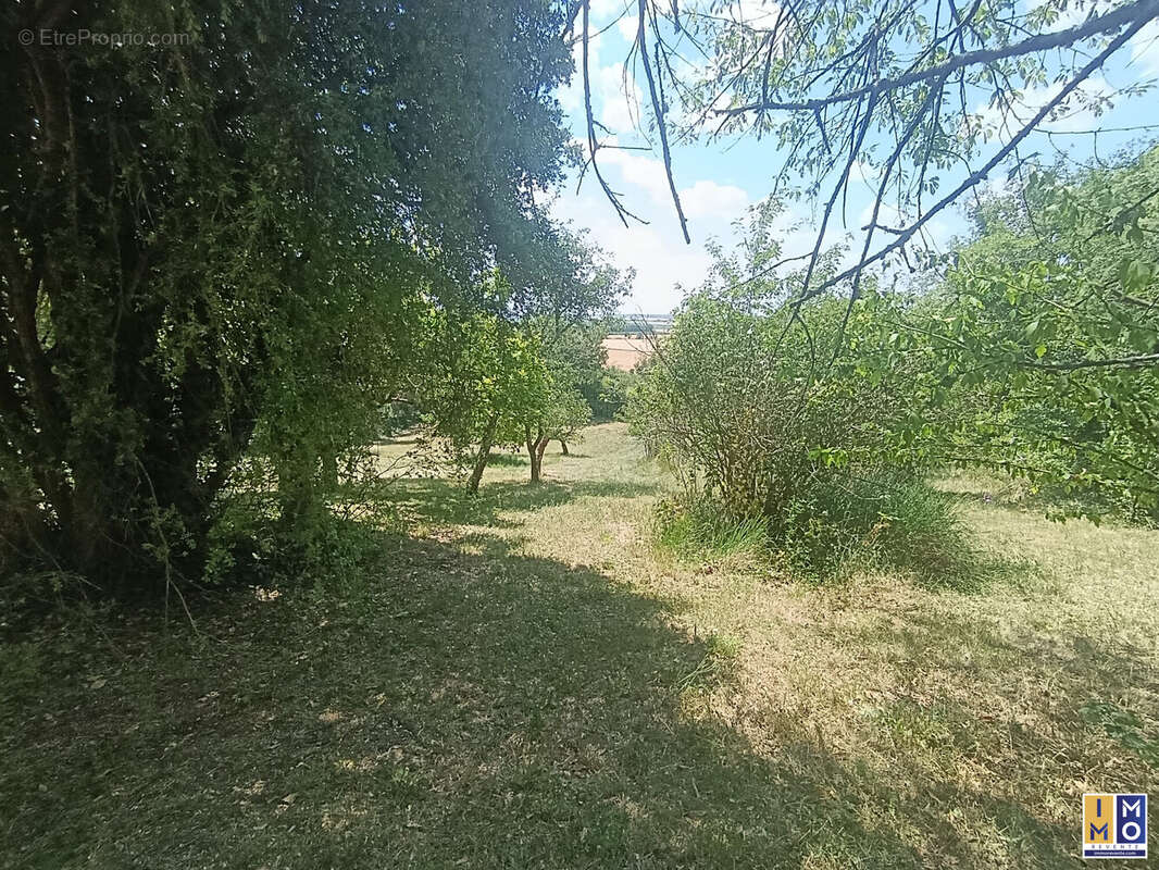 Maison 67 m² à Gron  - photo 2