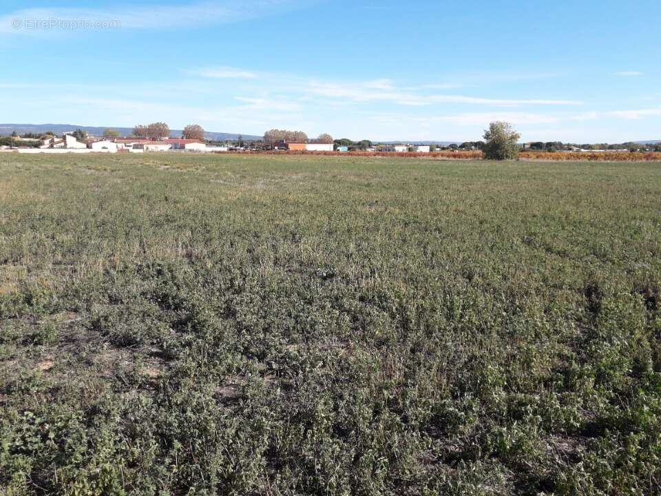 Terrain à SAINT-LAURENT-DE-LA-CABRERISSE