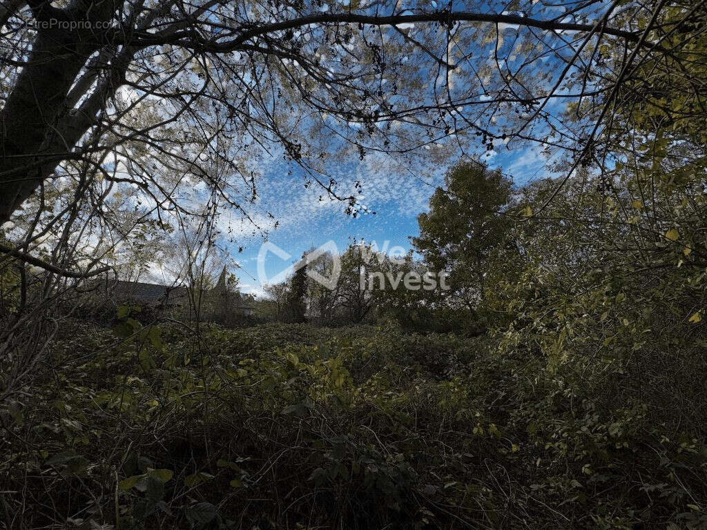 Terrain à VILLERS-SIRE-NICOLE