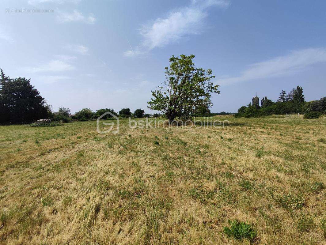 Maison à PIERRELATTE