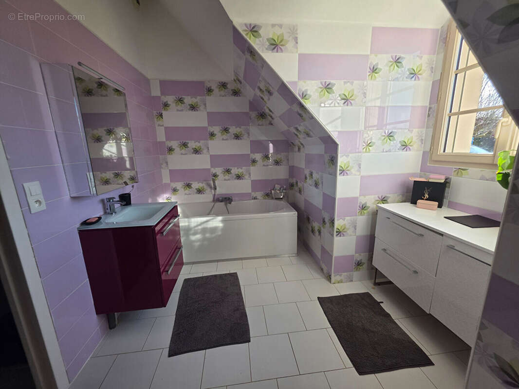 Maison à LA ROCHE-POSAY