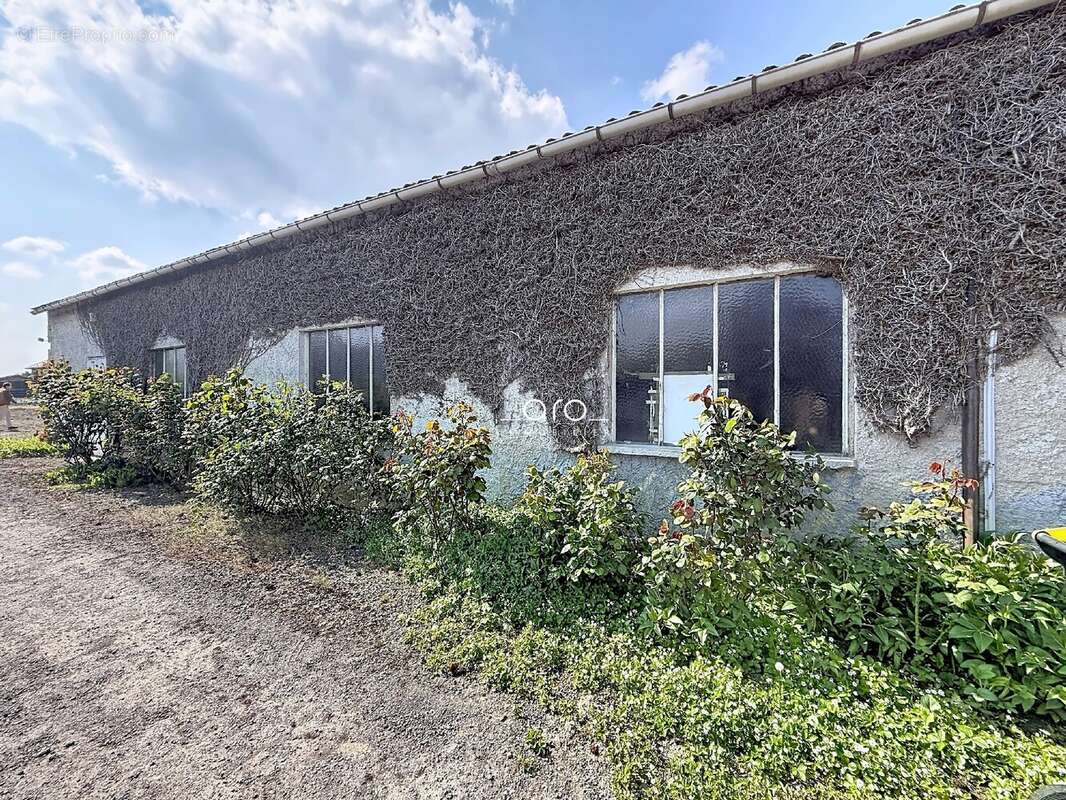 Maison à CAMPHIN-EN-PEVELE