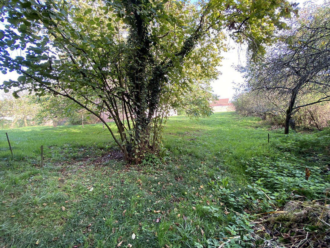 Maison à LA CHAPELLE-SOUS-BRANCION