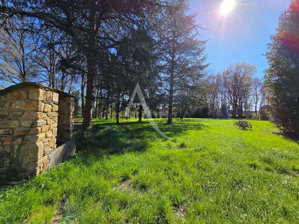 Maison à BAINS-SUR-OUST
