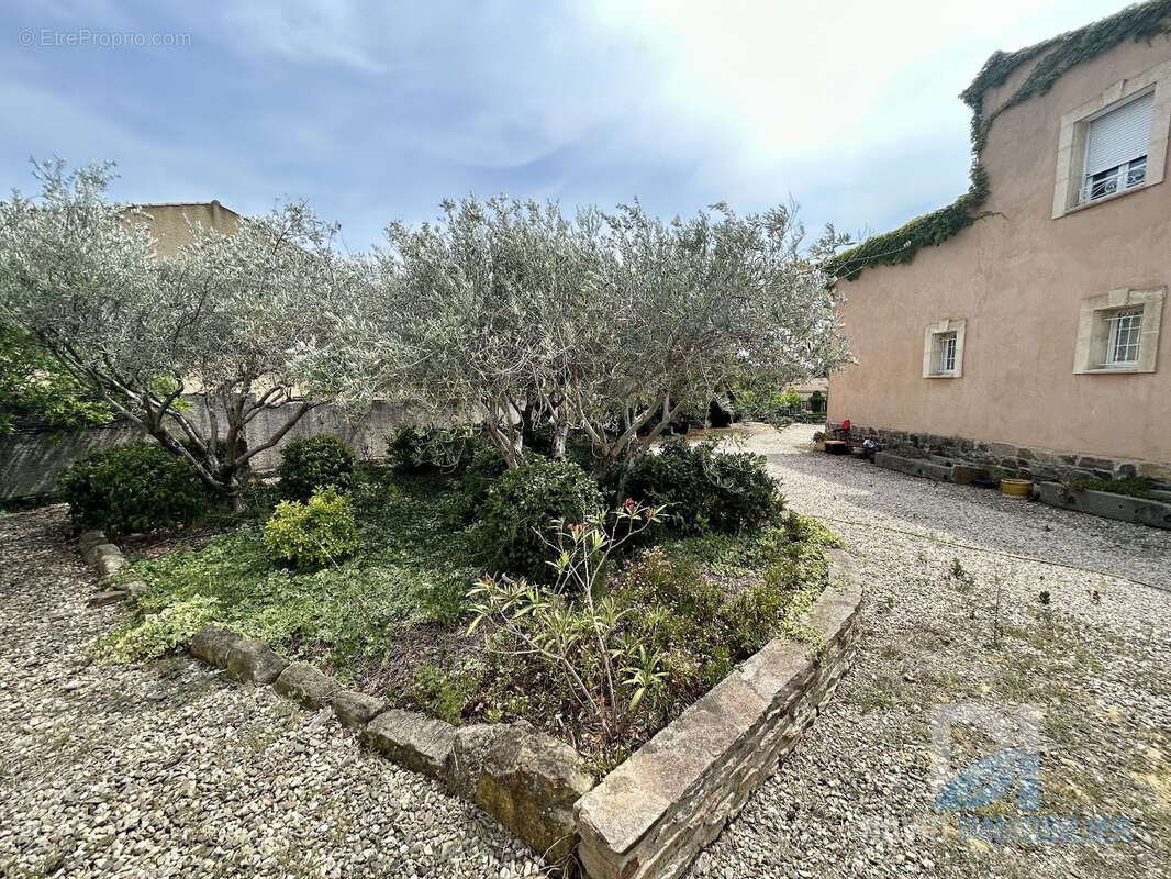 Maison à ESPONDEILHAN