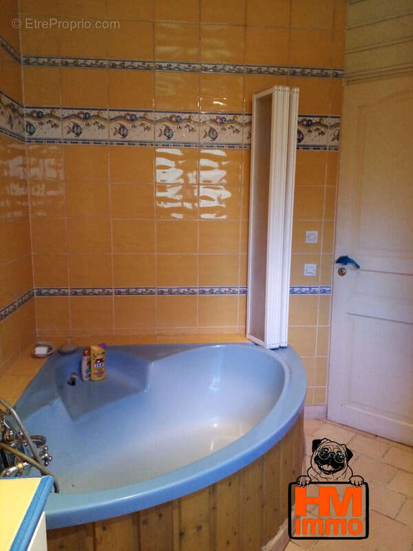 Maison à SAINT-JUST-LUZAC