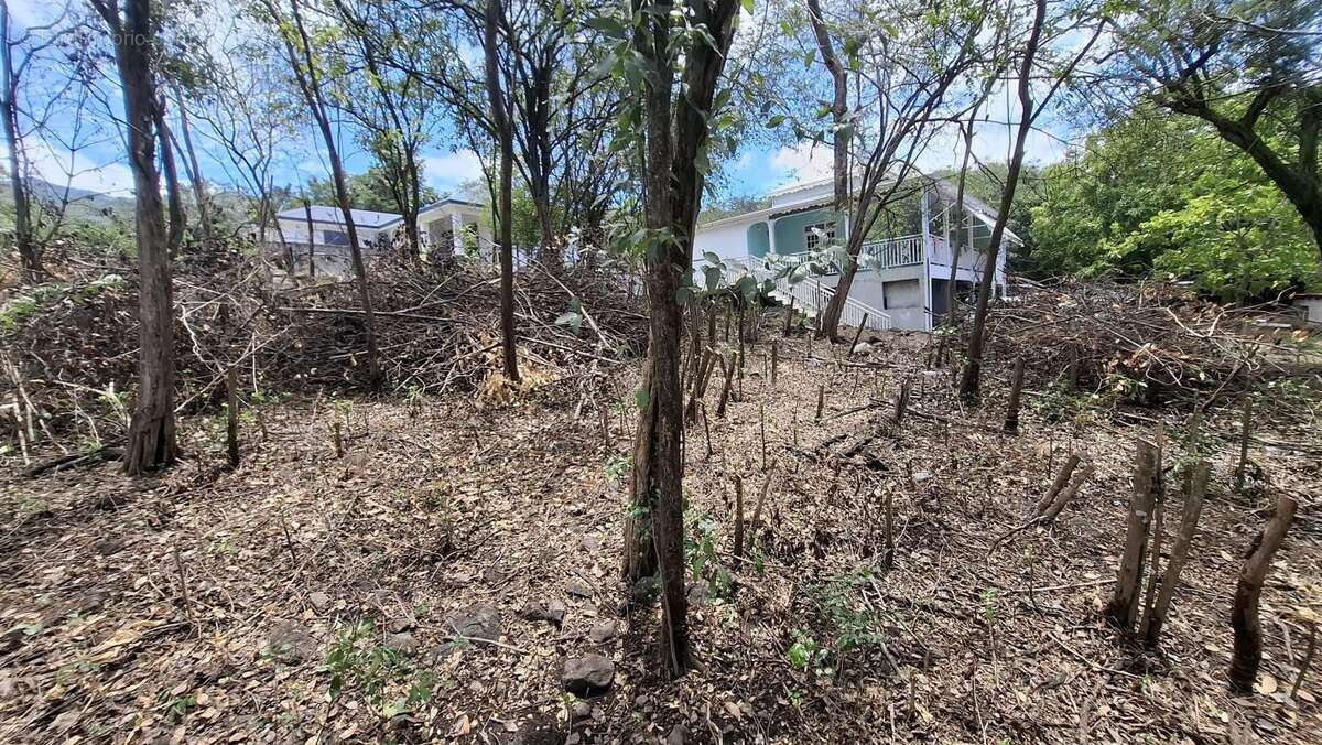 Terrain à BOUILLANTE