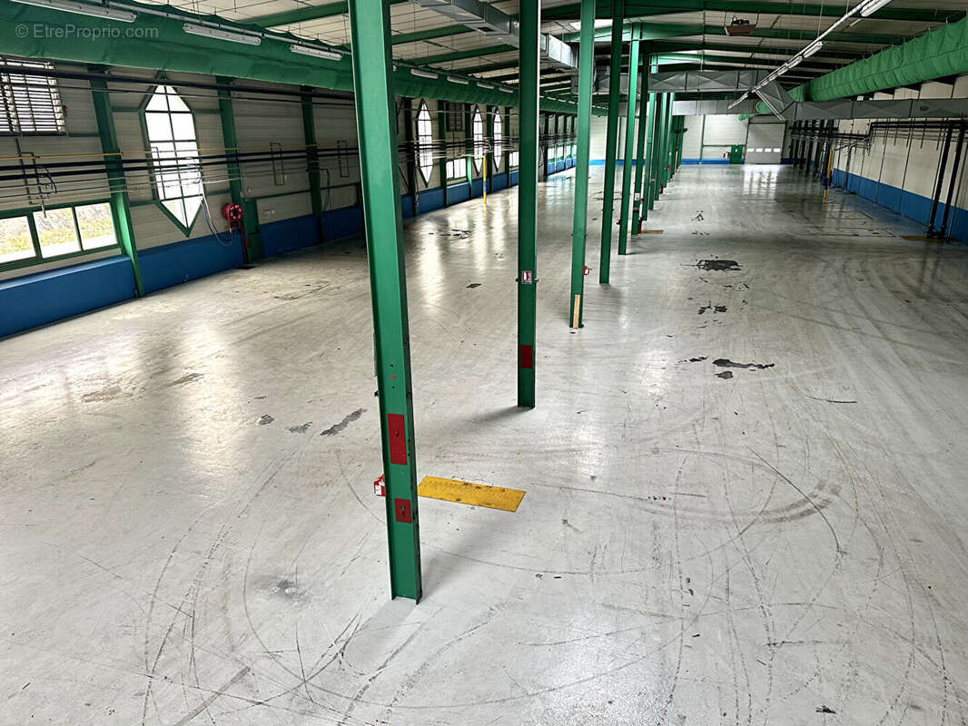 Commerce à BELLIGNAT