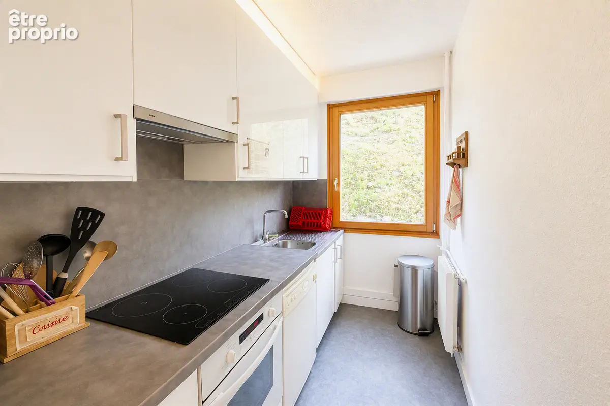 Appartement  2 chambres + 1 Coin montagne - photo 9