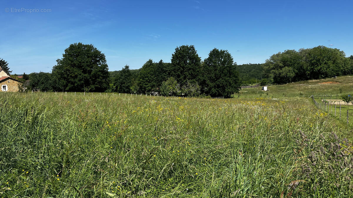 Terrain à BEAUREGARD-ET-BASSAC