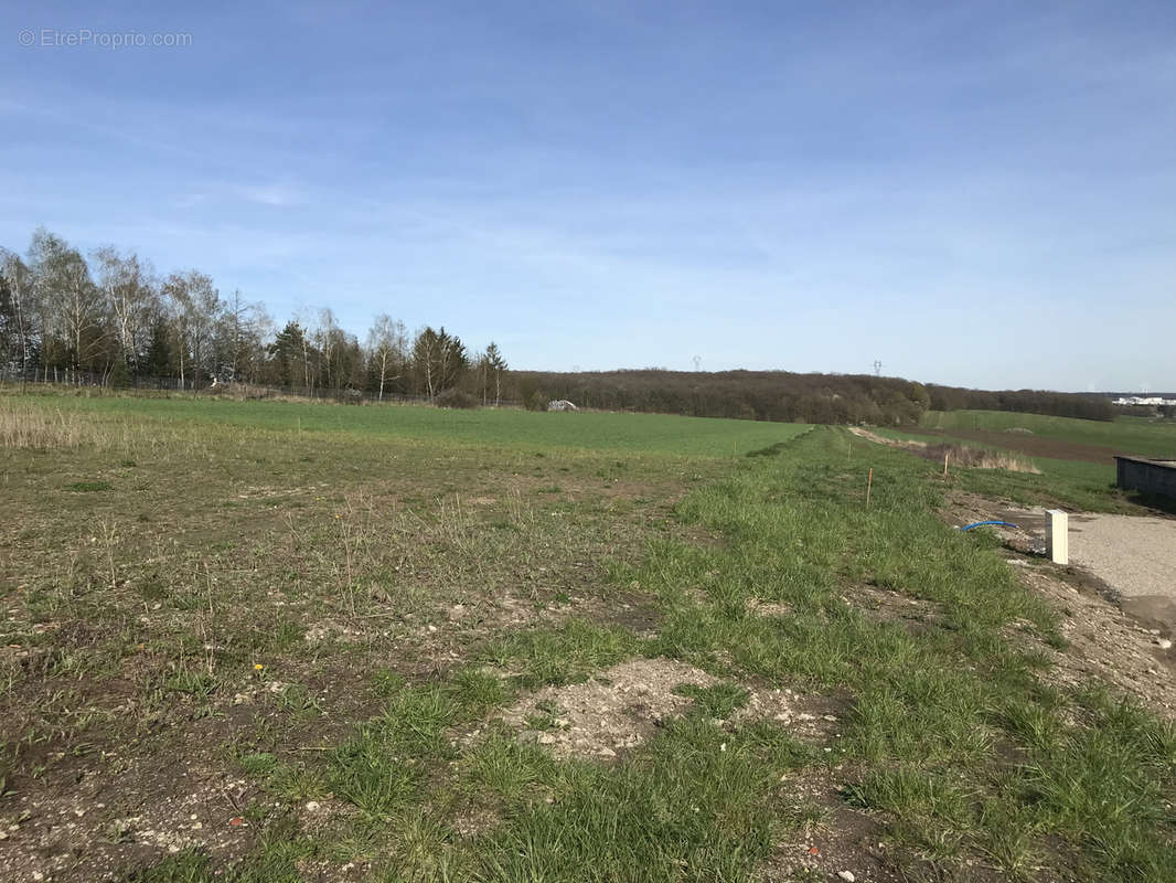 Terrain à ERNESTVILLER