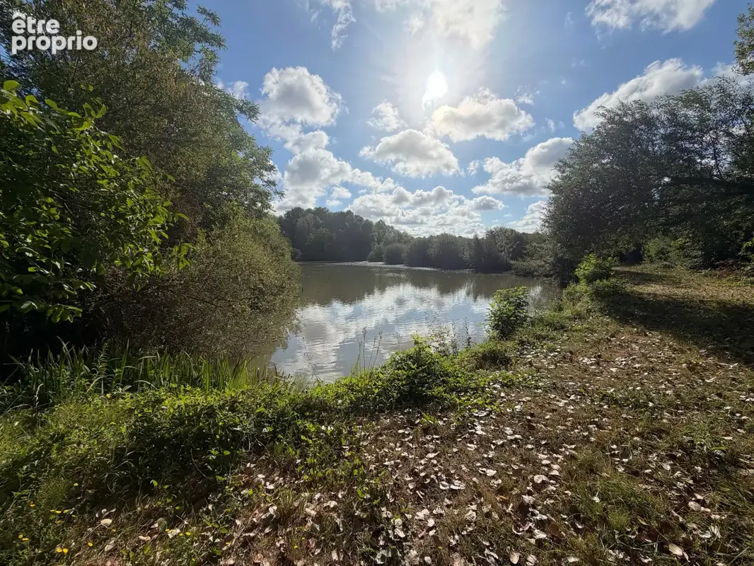 Terrain de loisirs avec étang - photo 5
