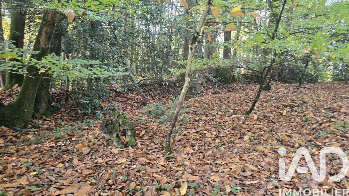 Photo 8 - Terrain à VIEUX-VY-SUR-COUESNON