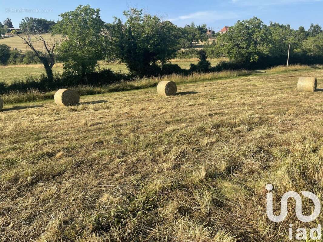 Photo 3 - Terrain à FIGEAC